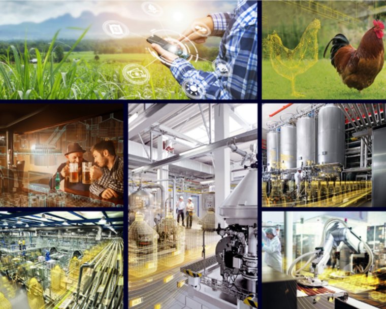 Siemens traz digitalização para toda a cadeia de produção de alimentos e bebidas na FISPAL Tecnologia 2022